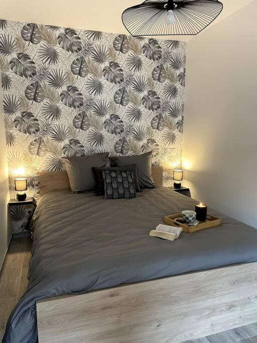 Appartement Bel Sur Cour Plein Centre Et Parking *